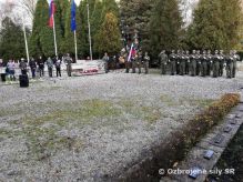 Medzinrodn de vojnovch veternov - De ervench makov